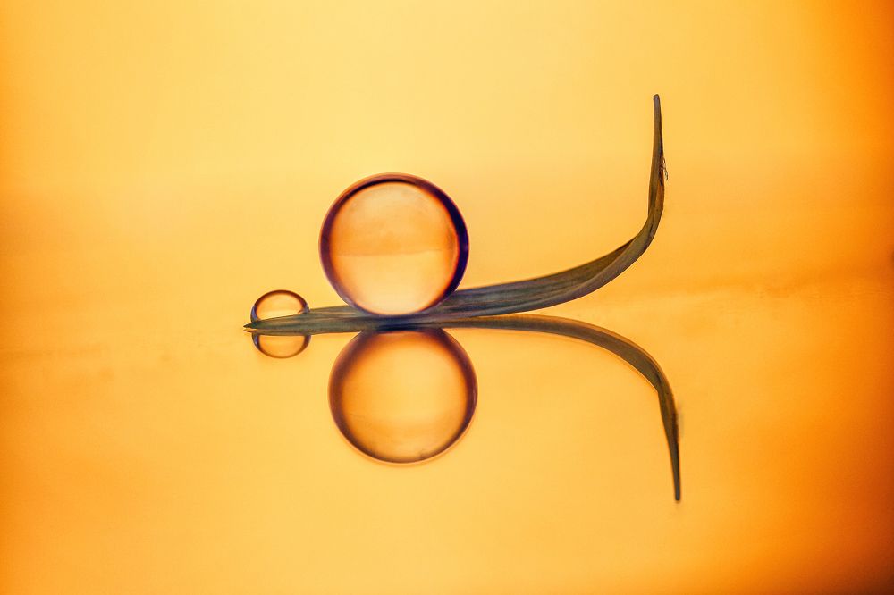 Photograph by António Manuel de Pereira