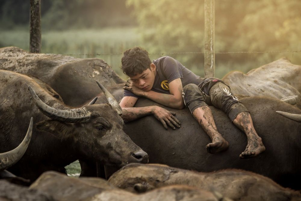 Photograph by Mohd Ezzat Moh Rasjid