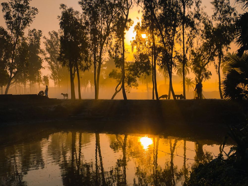 Photograph by Trishik Bose