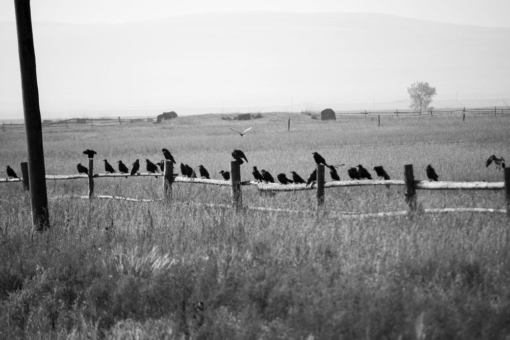 Photograph by Надежда Преминина