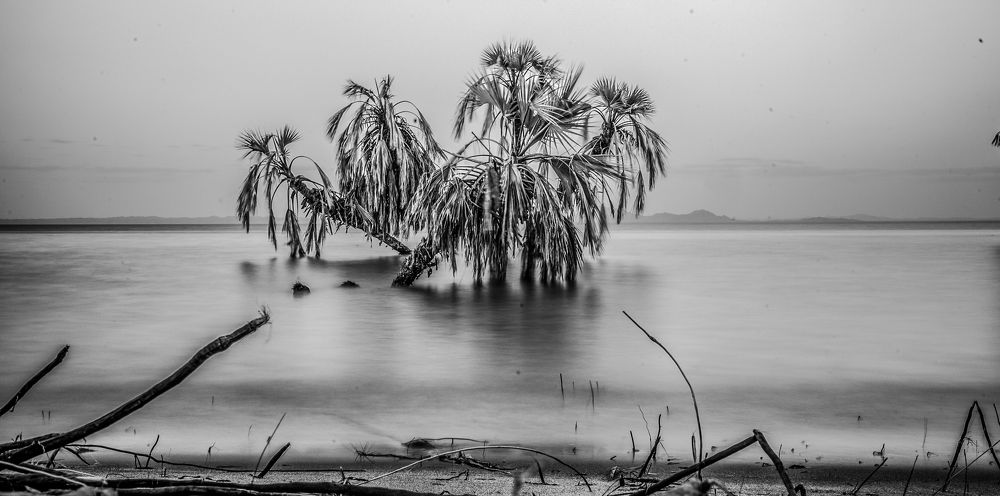 Photograph by Dennis Munene