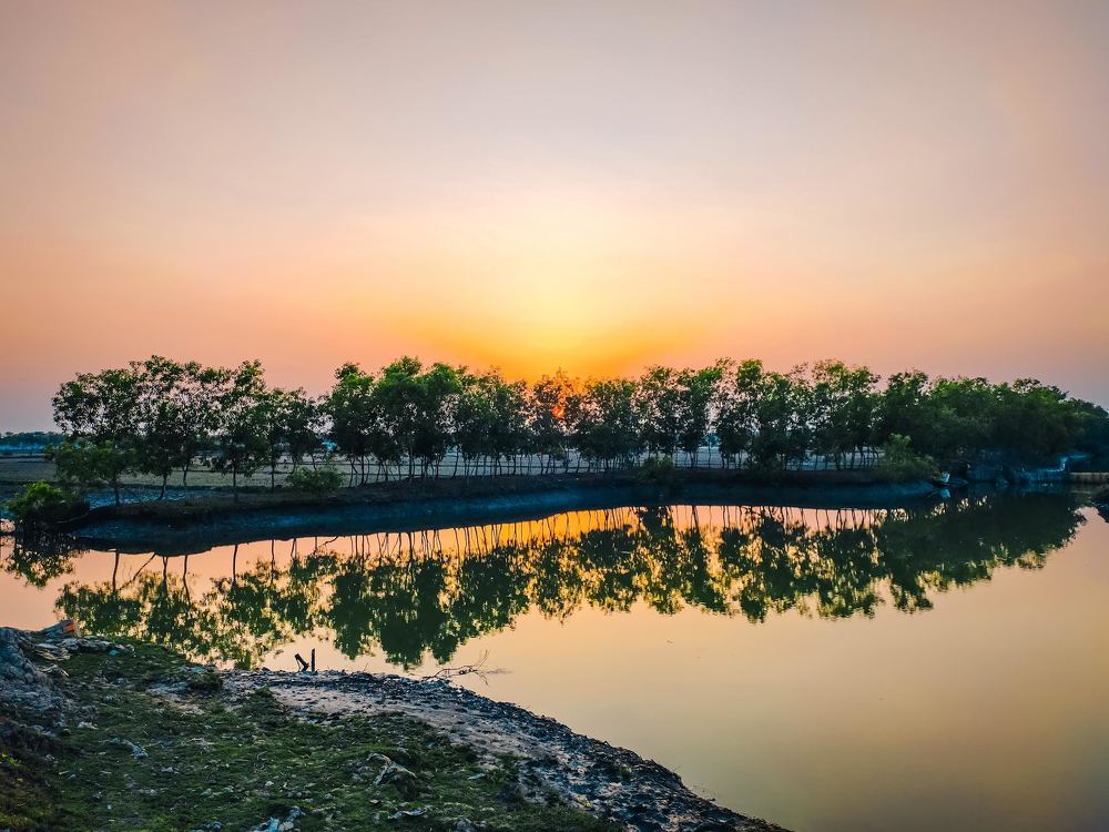 Photograph by Trishik Bose