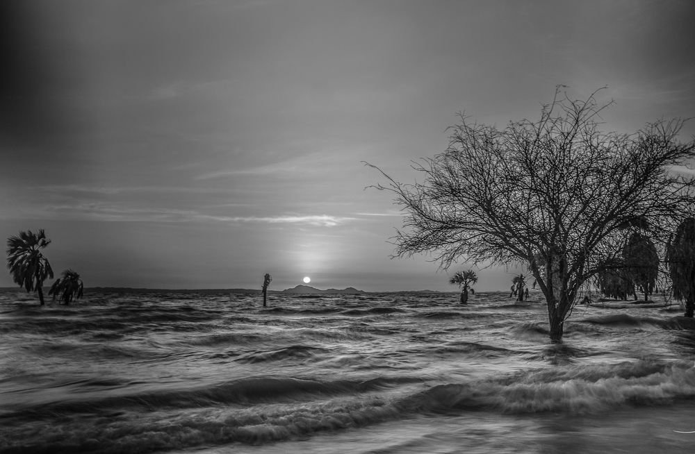 Photograph by Dennis Munene