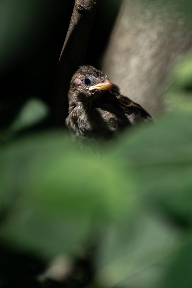 Фотография автора Игорь Ахремчик