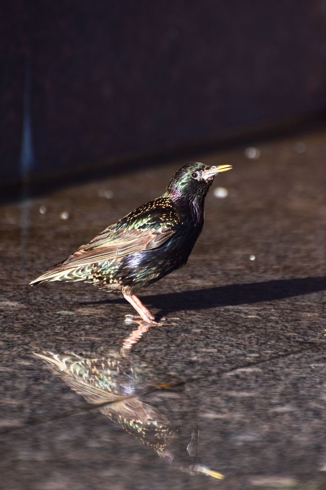Фотография автора Игорь Ахремчик