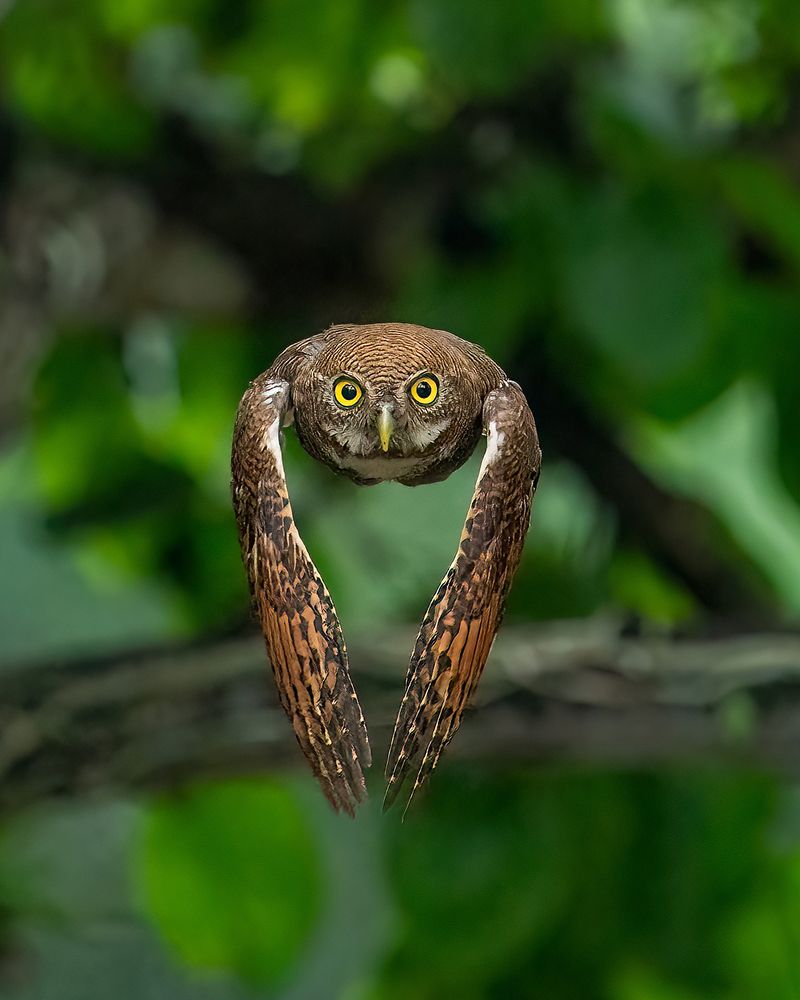 Photograph by Dipin Sreepadmam