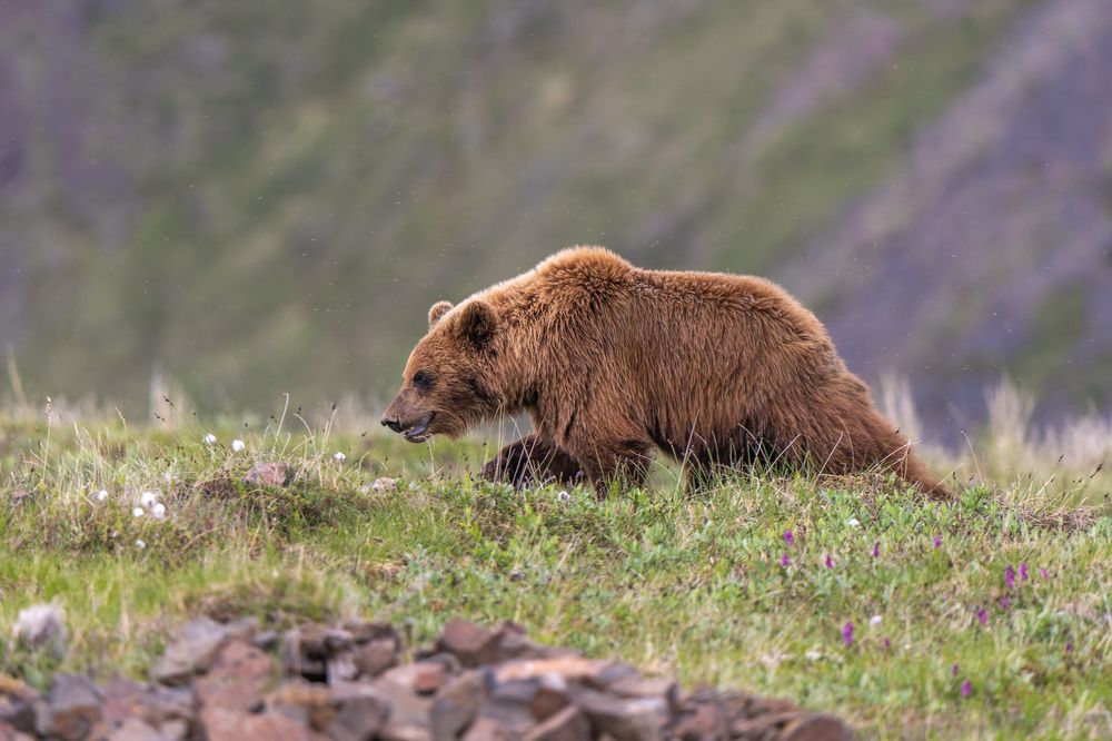 Photograph by Юрий Харченко