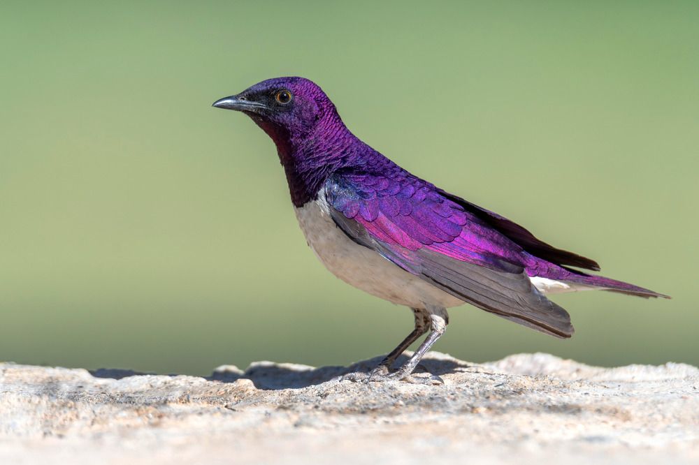 Photograph by Hervie Imus