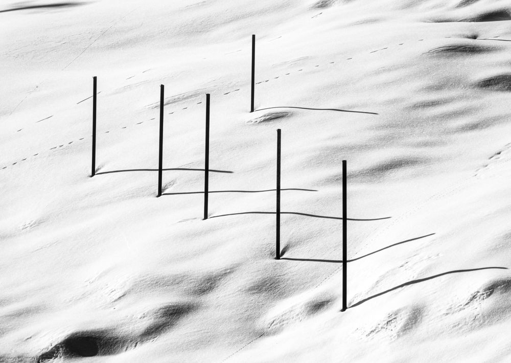 Photograph by Hamid Ahadi