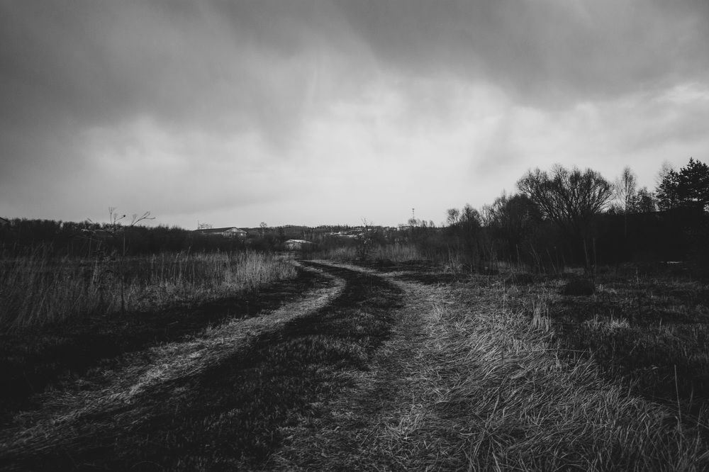 Photograph by Светлана Антипова