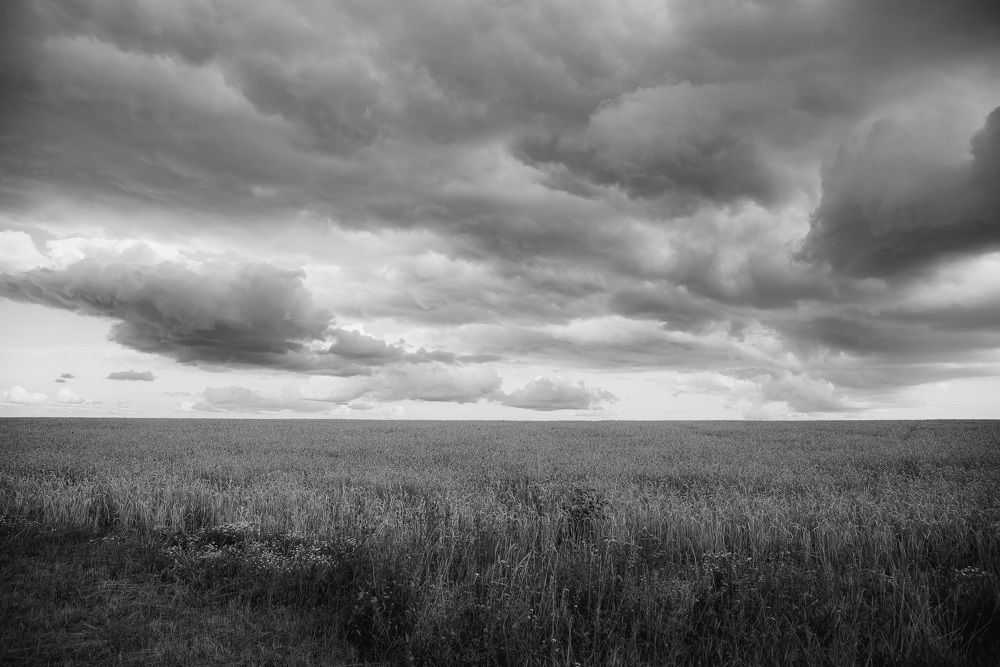 Photograph by Светлана Антипова