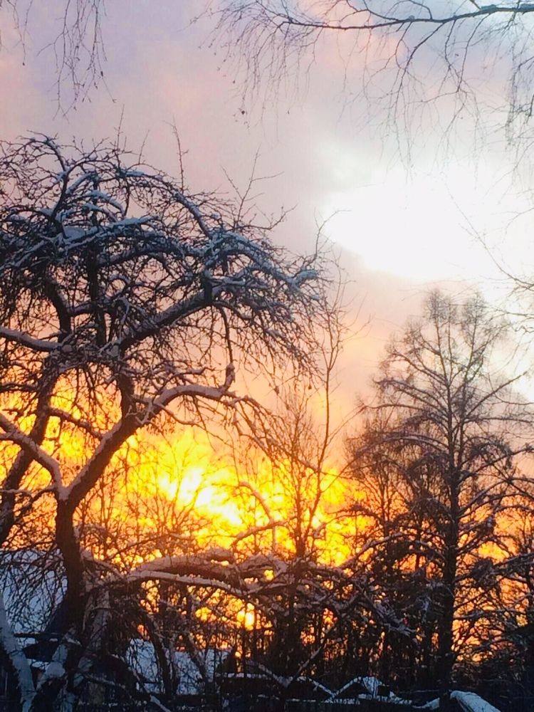 Photograph by Антонина Михалёва