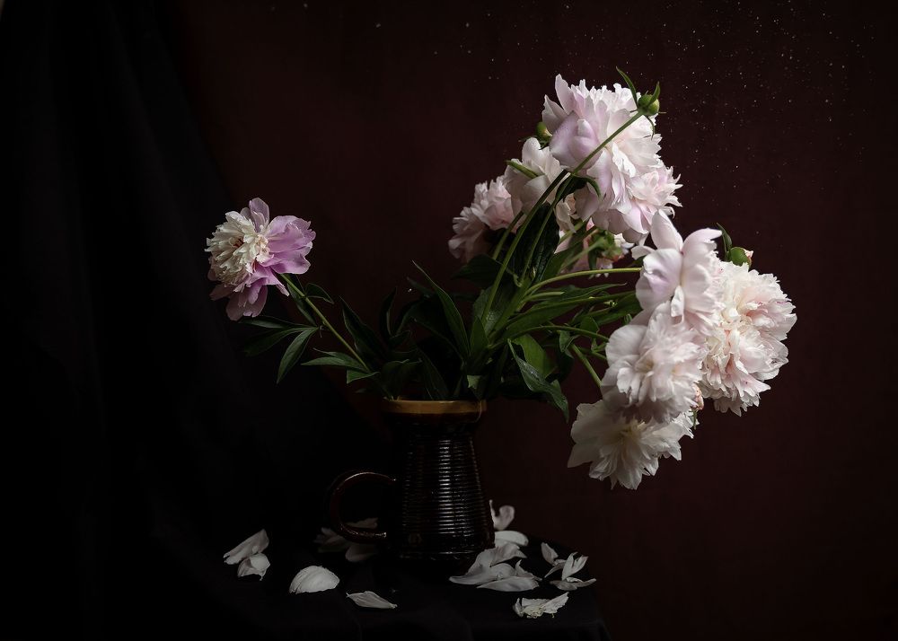 Photograph by Katerina Seneng