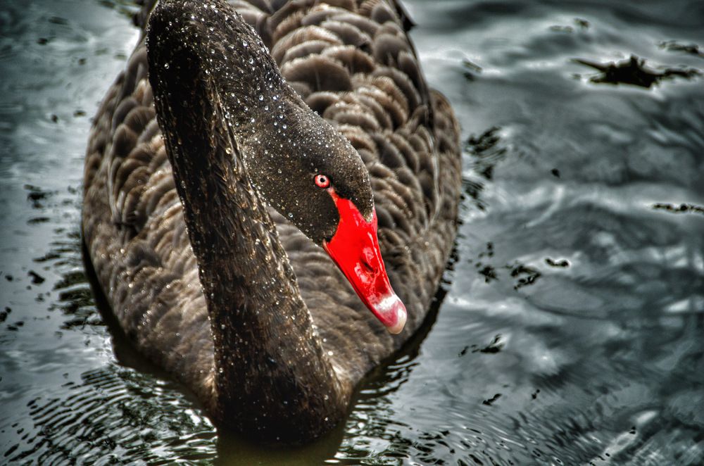 Photograph by John Blake