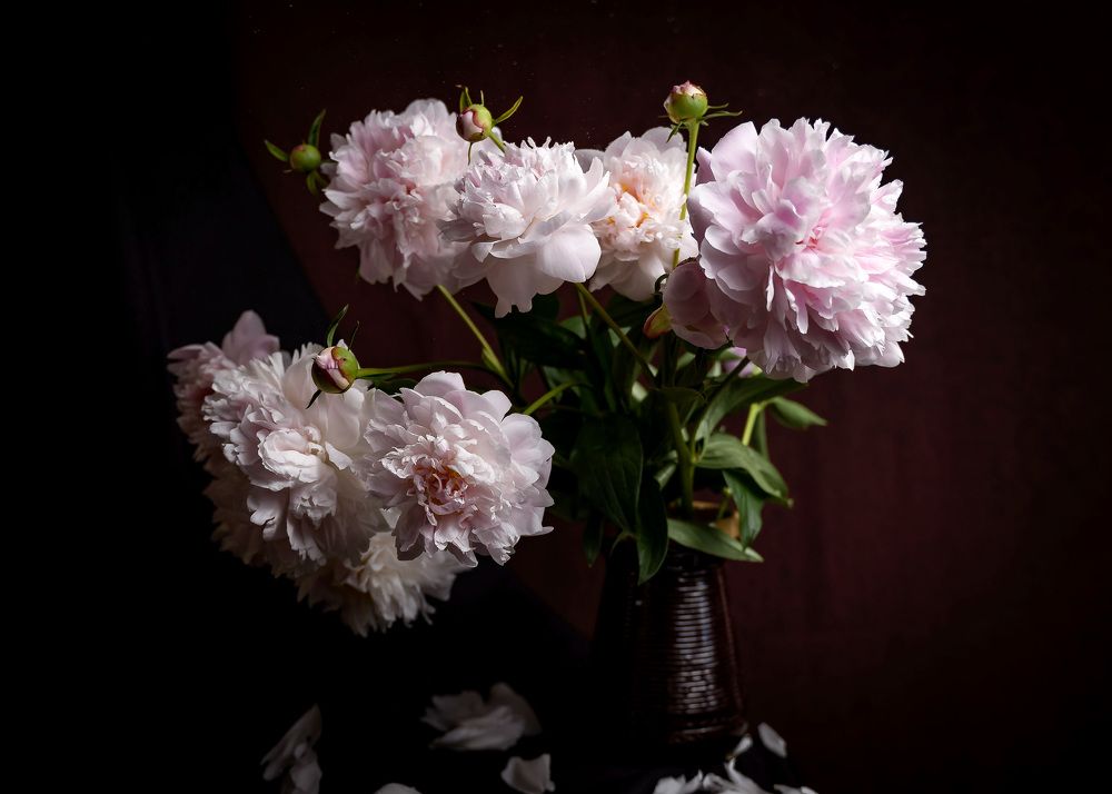 Photograph by Katerina Seneng