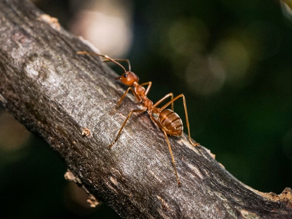 Photograph by Yustiawan