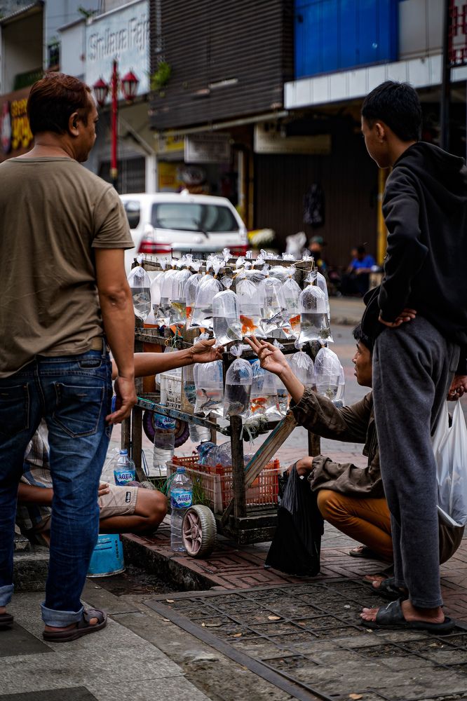 Photograph by Yustiawan