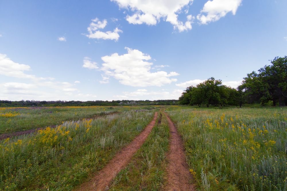 Photograph by Алексей