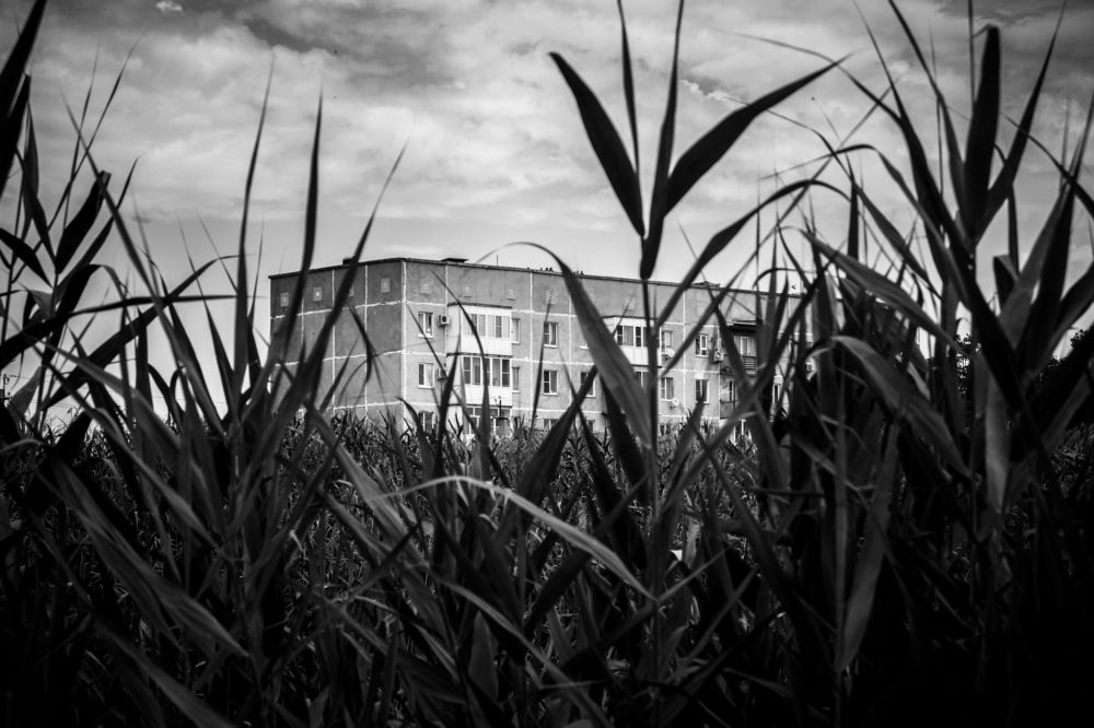 Photograph by Владимир Зайцев