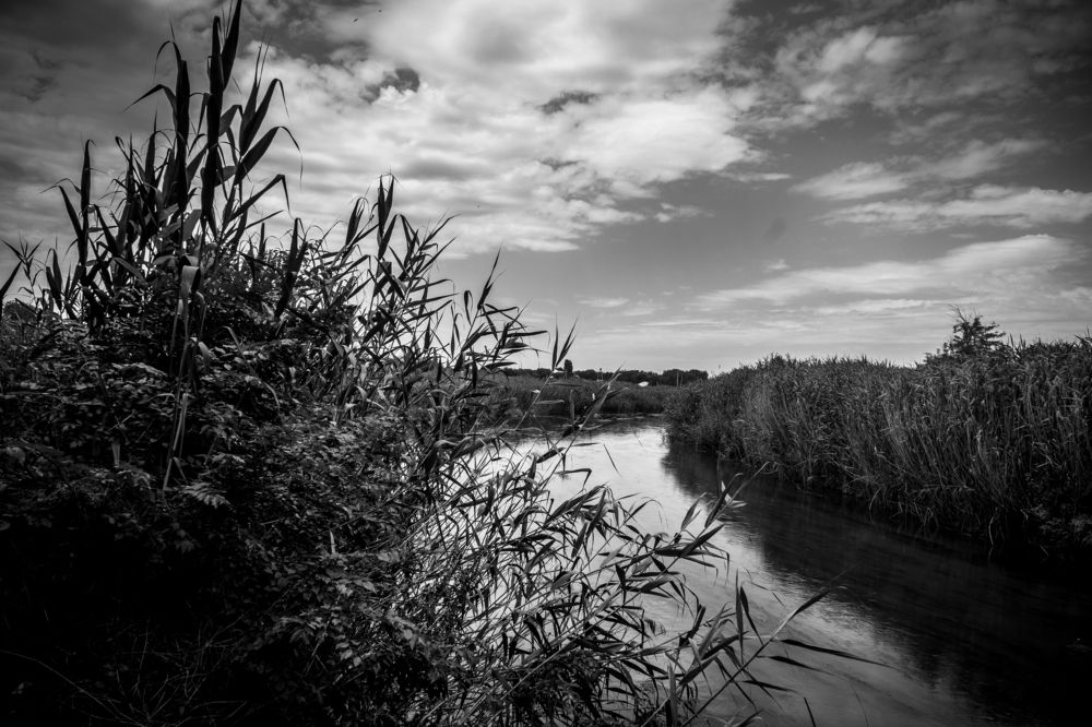 Photograph by Владимир Зайцев