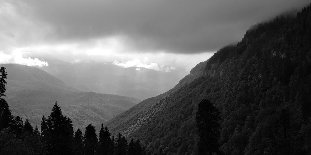 Photo #7751460