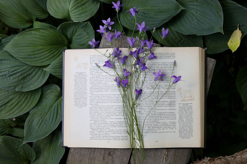 Photograph by Татьяна Скворцова