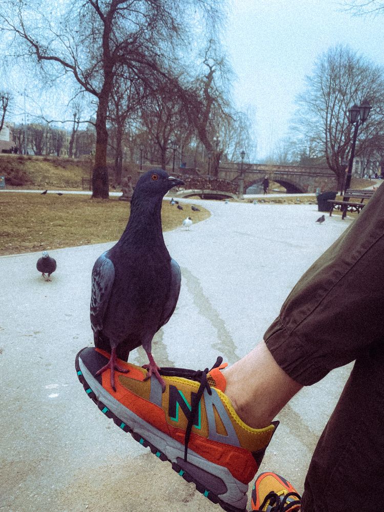 Photograph by Александр