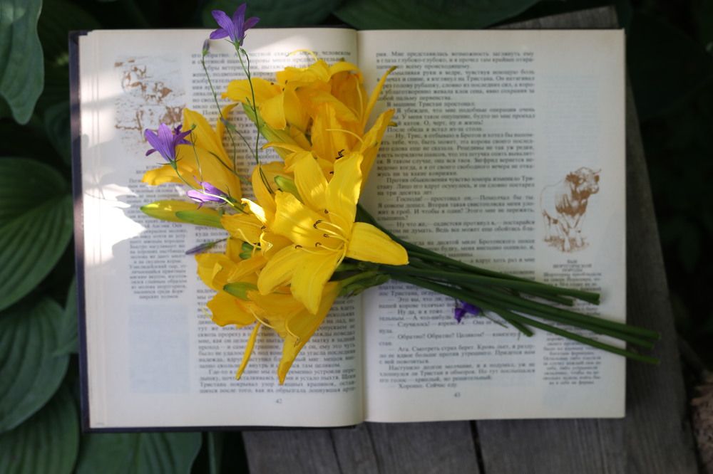 Photograph by Татьяна Скворцова