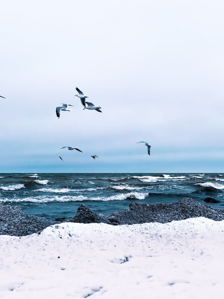 Photograph by Александр