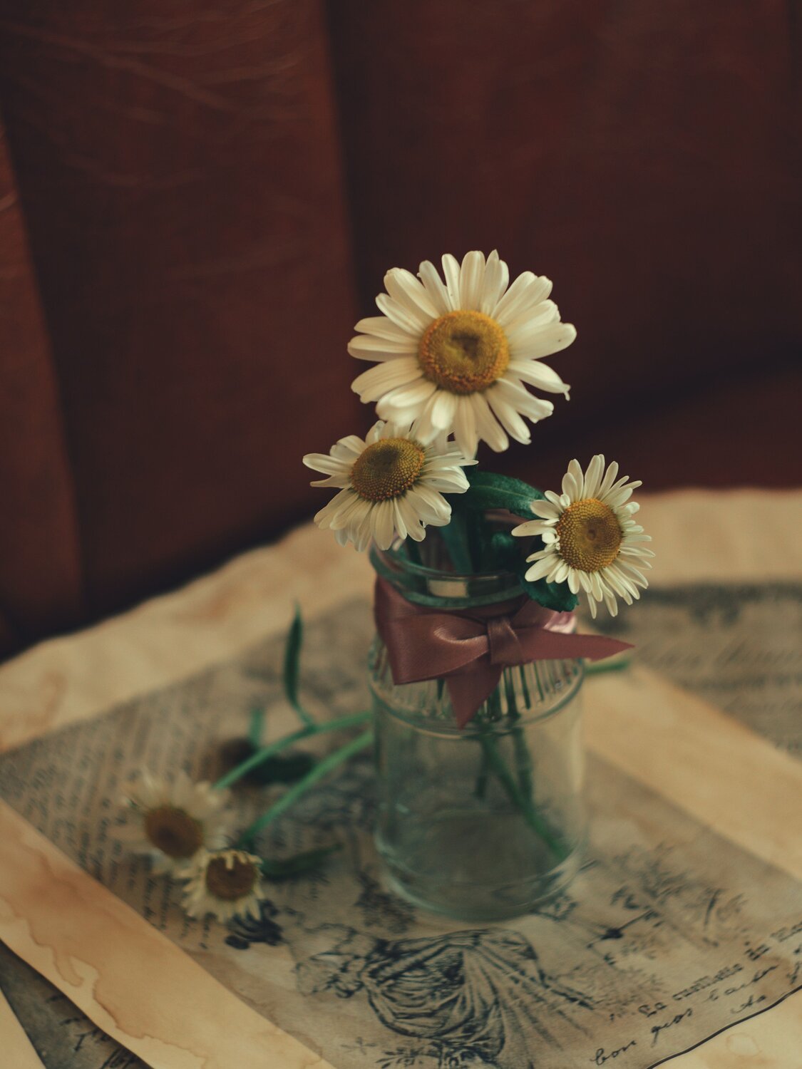 Photo #7751477