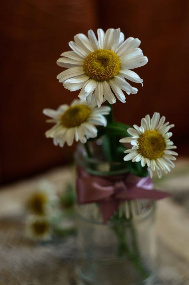 Photograph by Татьяна Смирнова