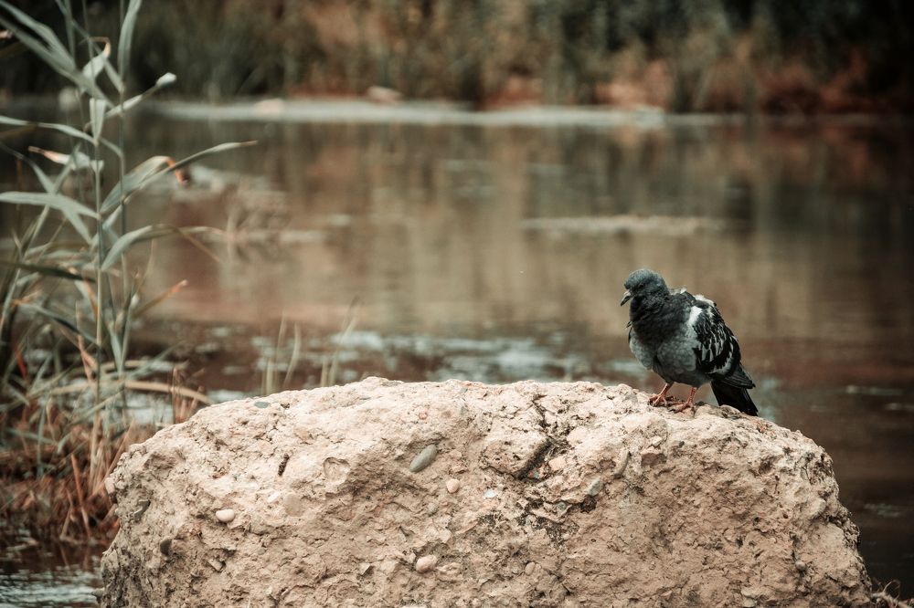 Photograph by Владимир Зайцев