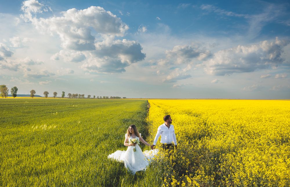 Photograph by Petrovici Viorel