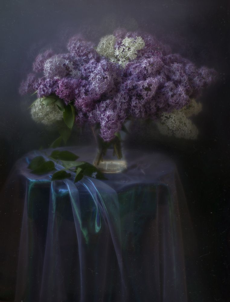 Photograph by Svoboda Andreeva