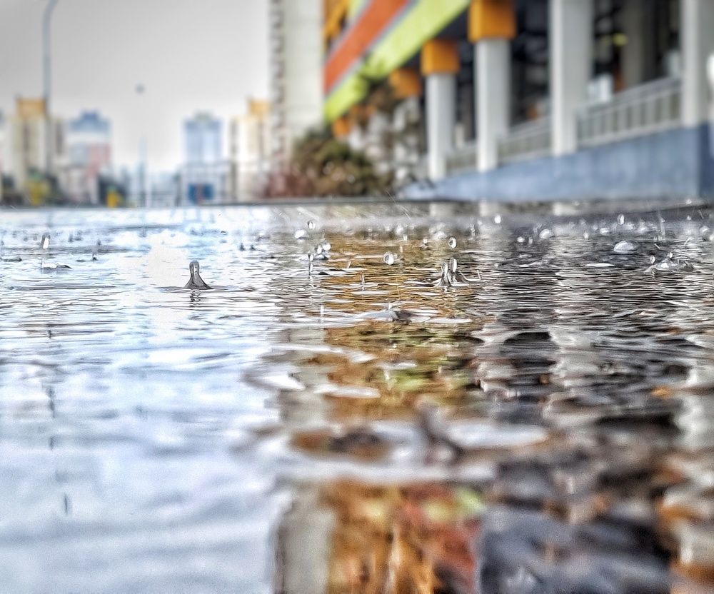 Photograph by Марина Ивасюта