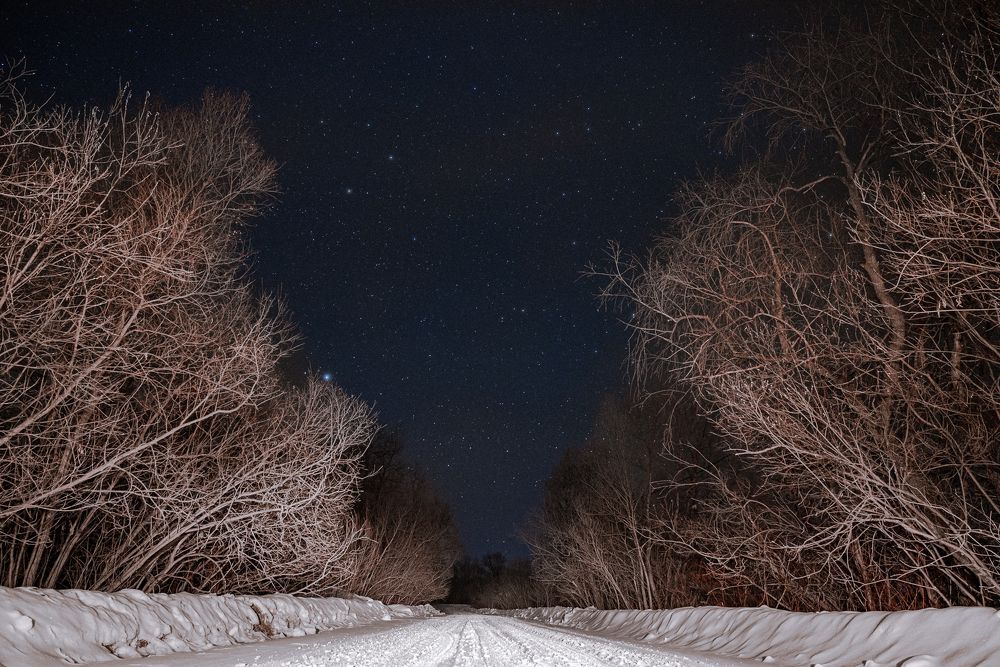Photograph by Антон Мингалев