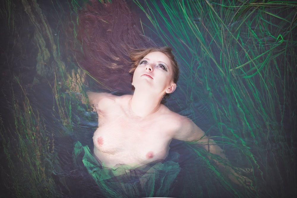 Фотография автора Анна Петина