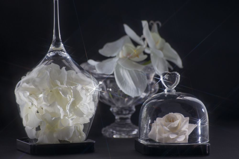 Photograph by Vasily Prokhorov