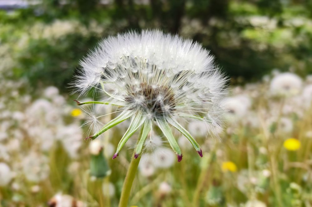 Photograph by Алексей