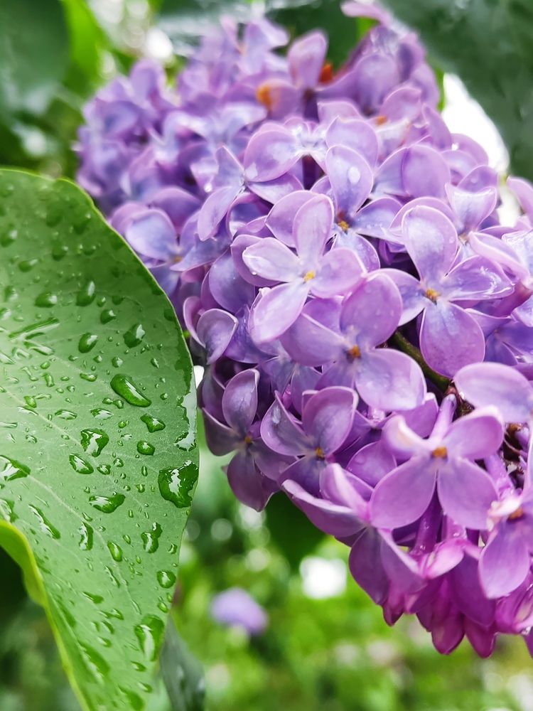 Photograph by Алексей