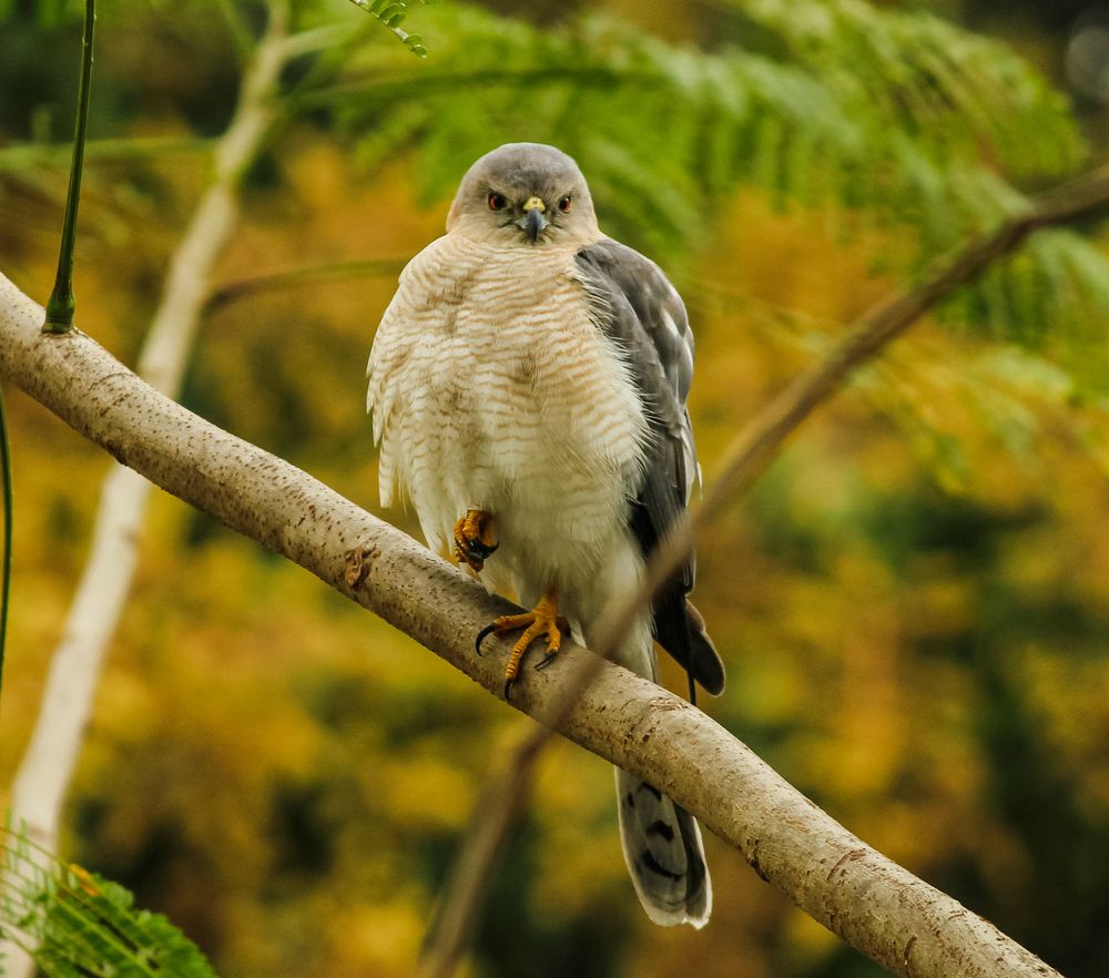 Photograph by Kapilesh Gujarathi