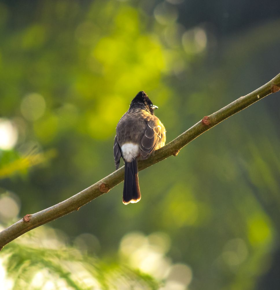 Photograph by Kapilesh Gujarathi