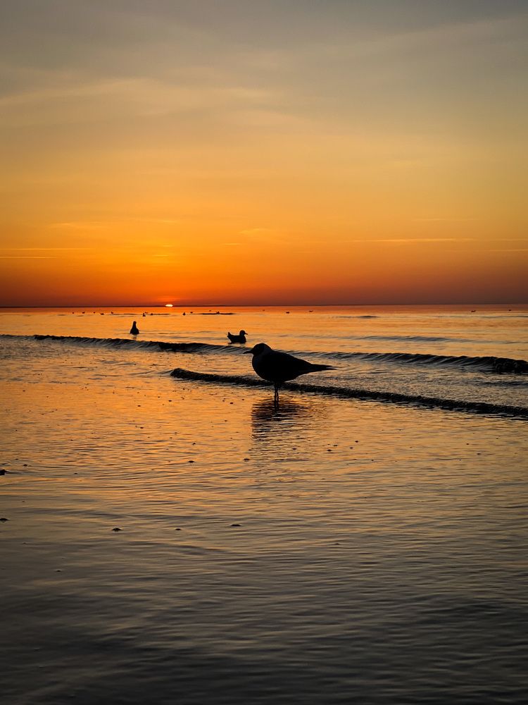 Photograph by Александр