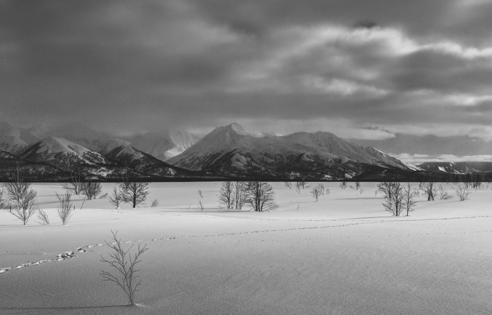 Photograph by Евгений Житников