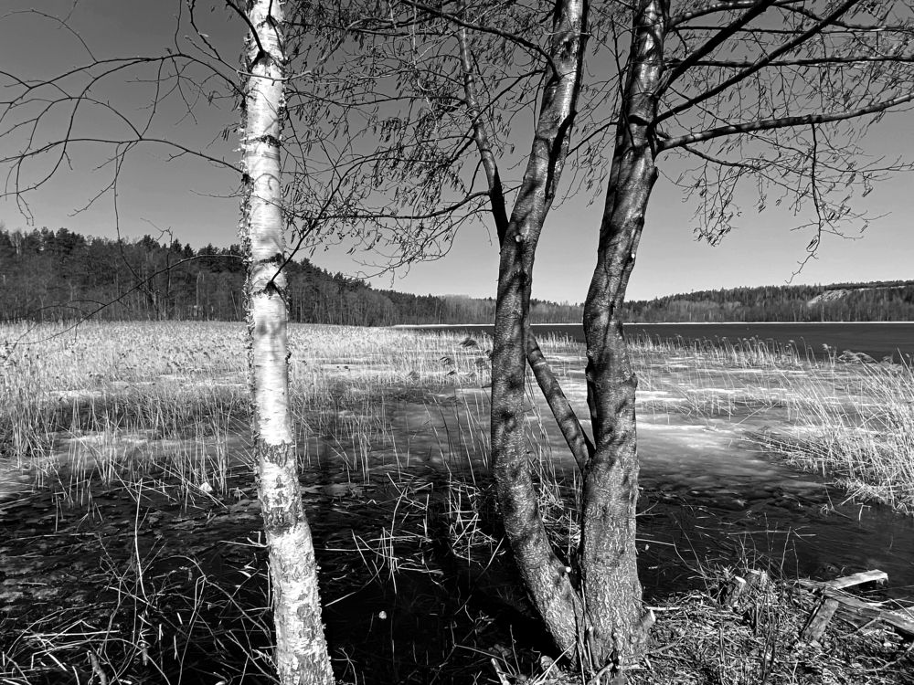 Photograph by Леонид Чеглаков