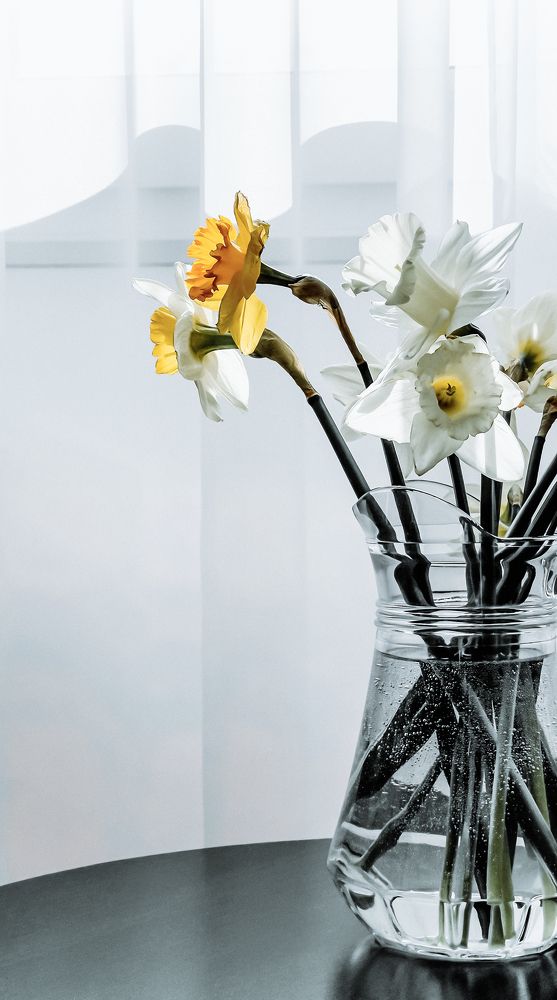 Photograph by Юлия Ковальчук