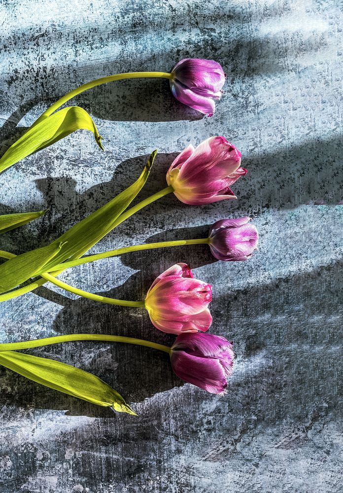 Photograph by Юлия Ковальчук