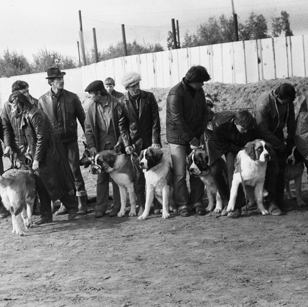 Московская сторожевая... на ринге...!