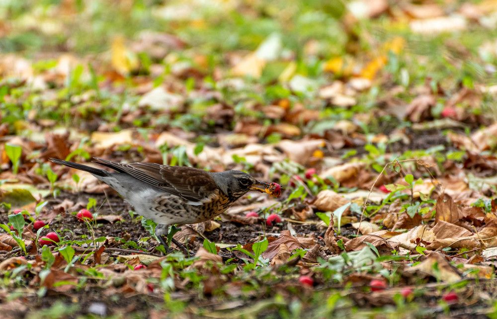 Photograph by Александр Гончаров