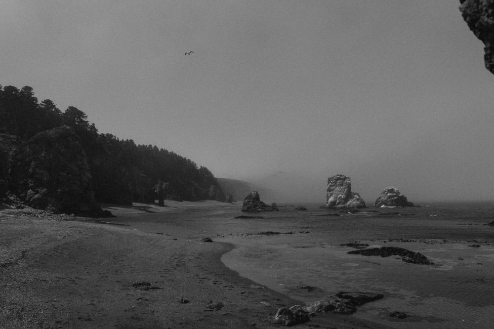 Photograph by Александр Еманаков